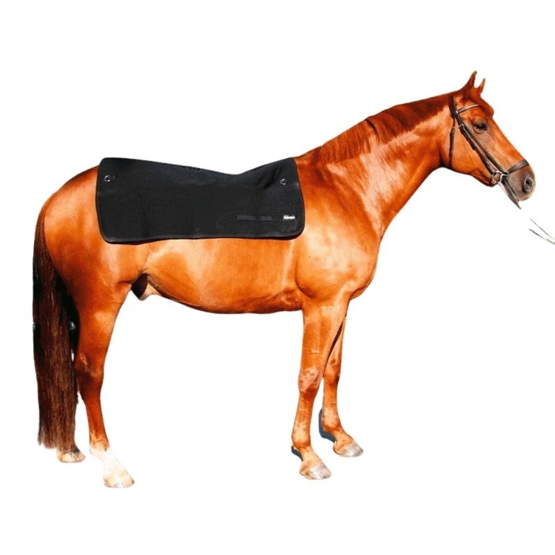 Calentador de espalda para caballos Back on Track