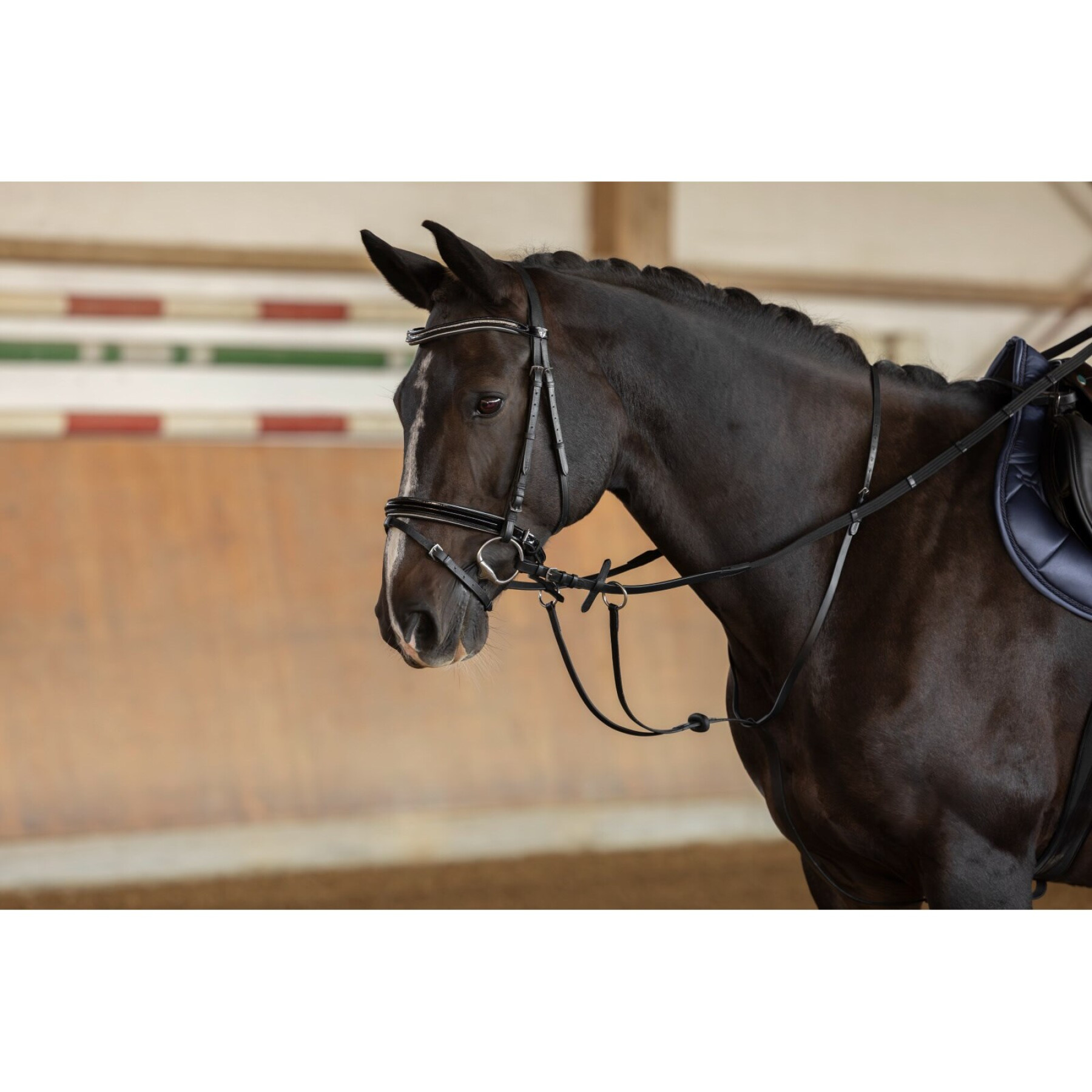 Martingala de anillas de cuero para caballos Covalliero