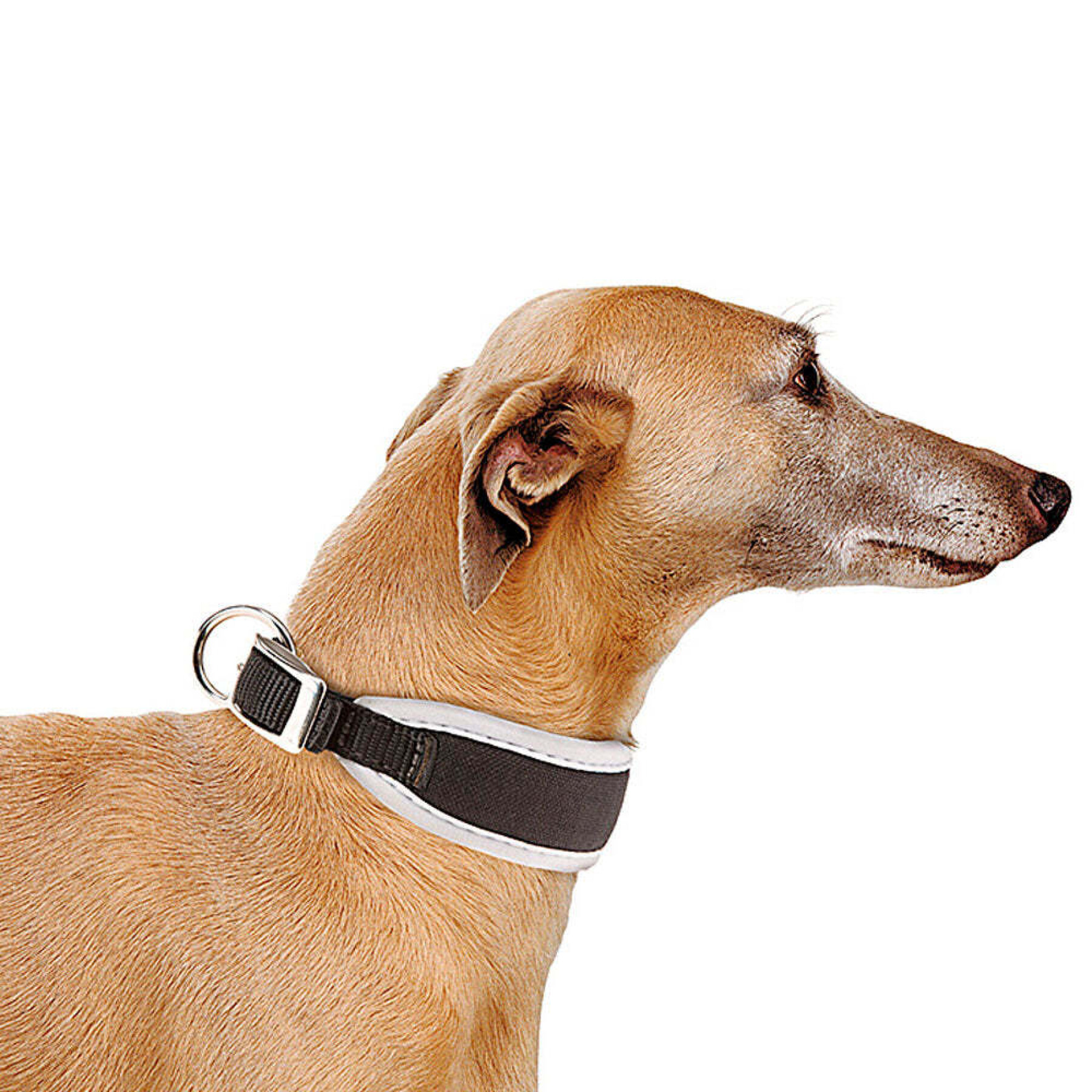 Collar para perro Ferplast Ergocomfort CW25/46