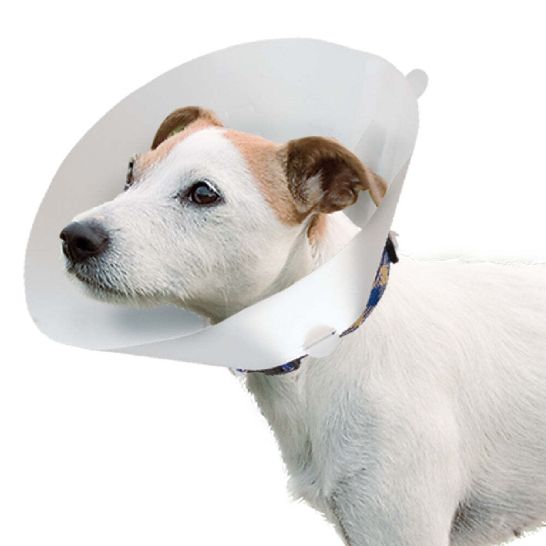 Collar de perro veterinario Ferplast GRO 6005