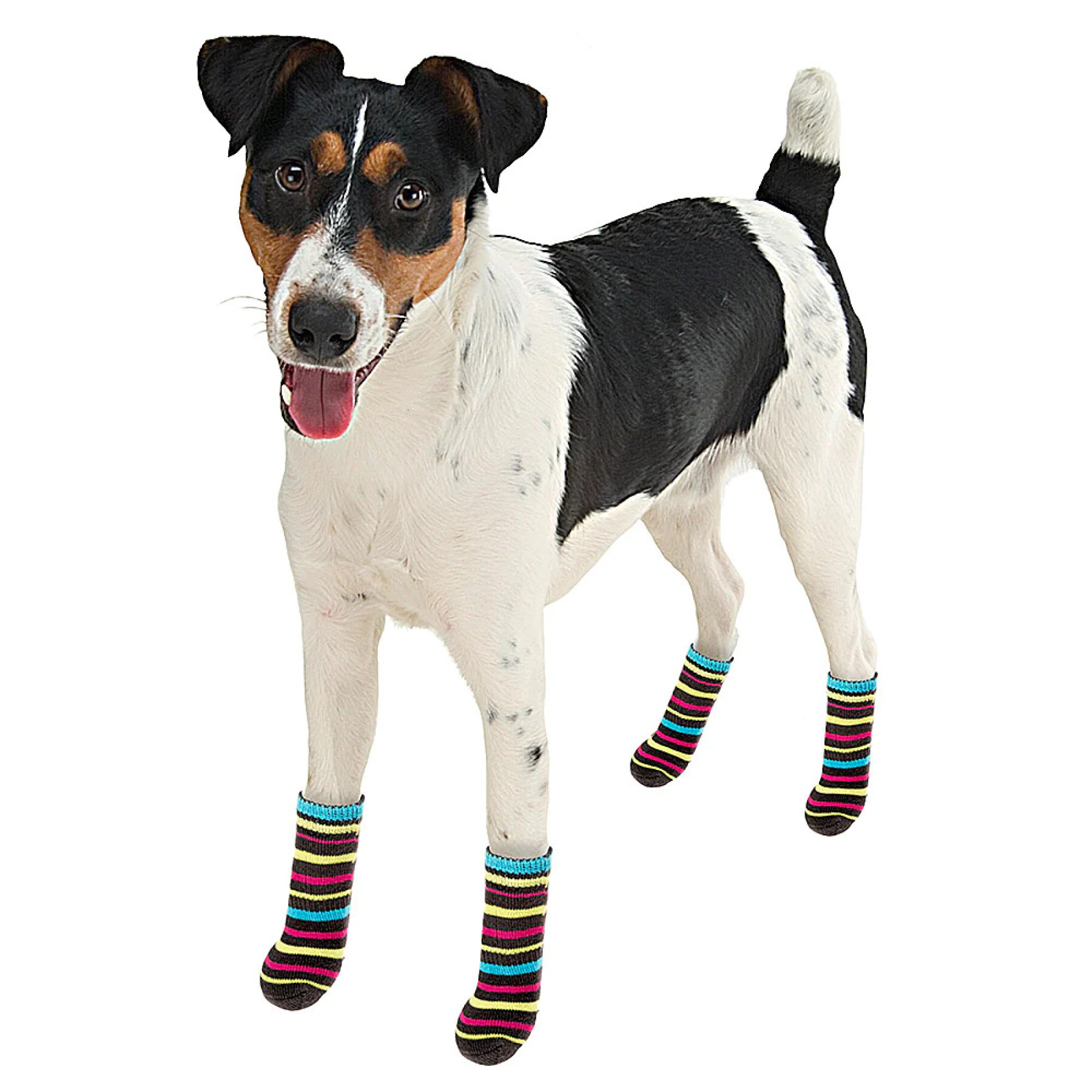 Calcetines para perros Ferplast Pet