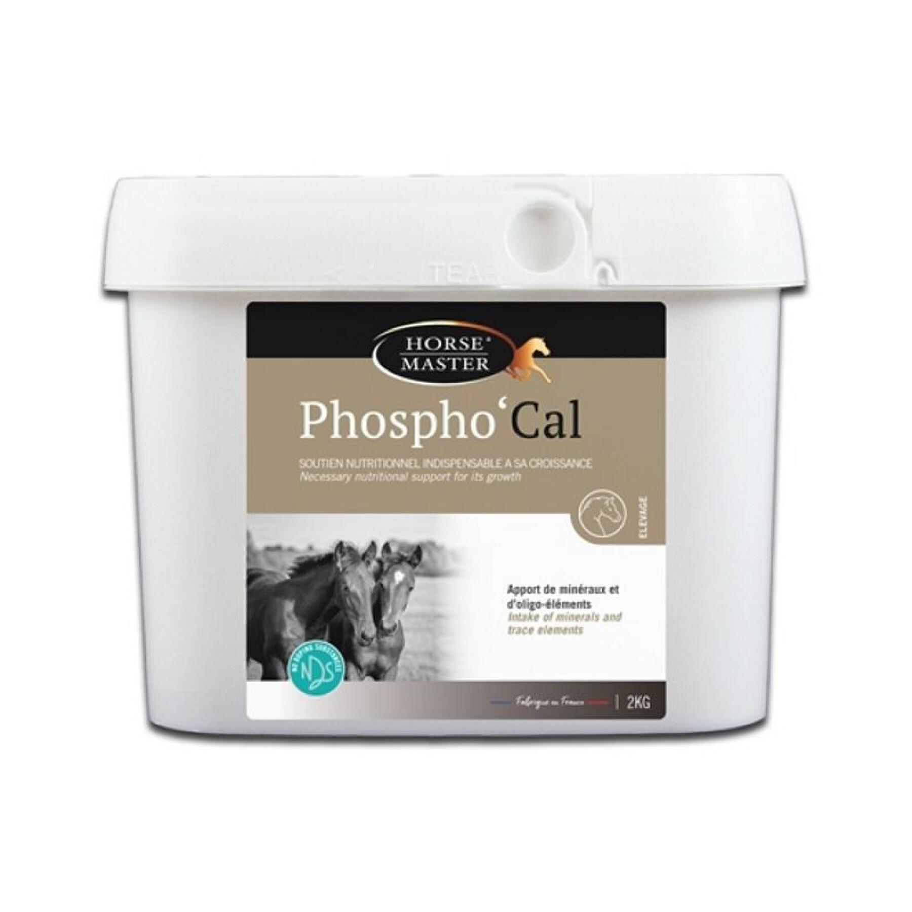 Suplemento alimenticio para potros Horse Master Phosphocal