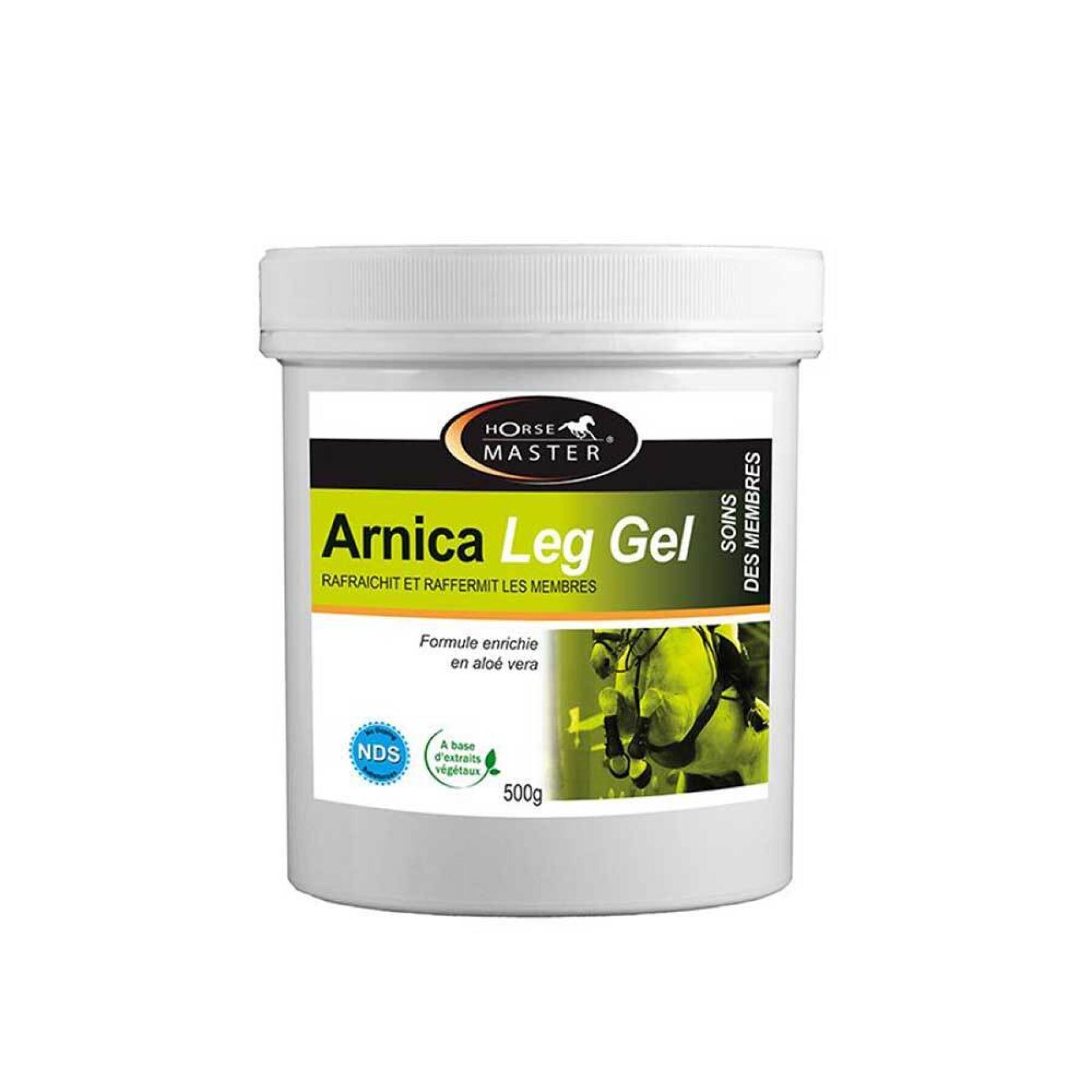 Gel refrescante para caballos Horse Master Arnica Leg 500 g