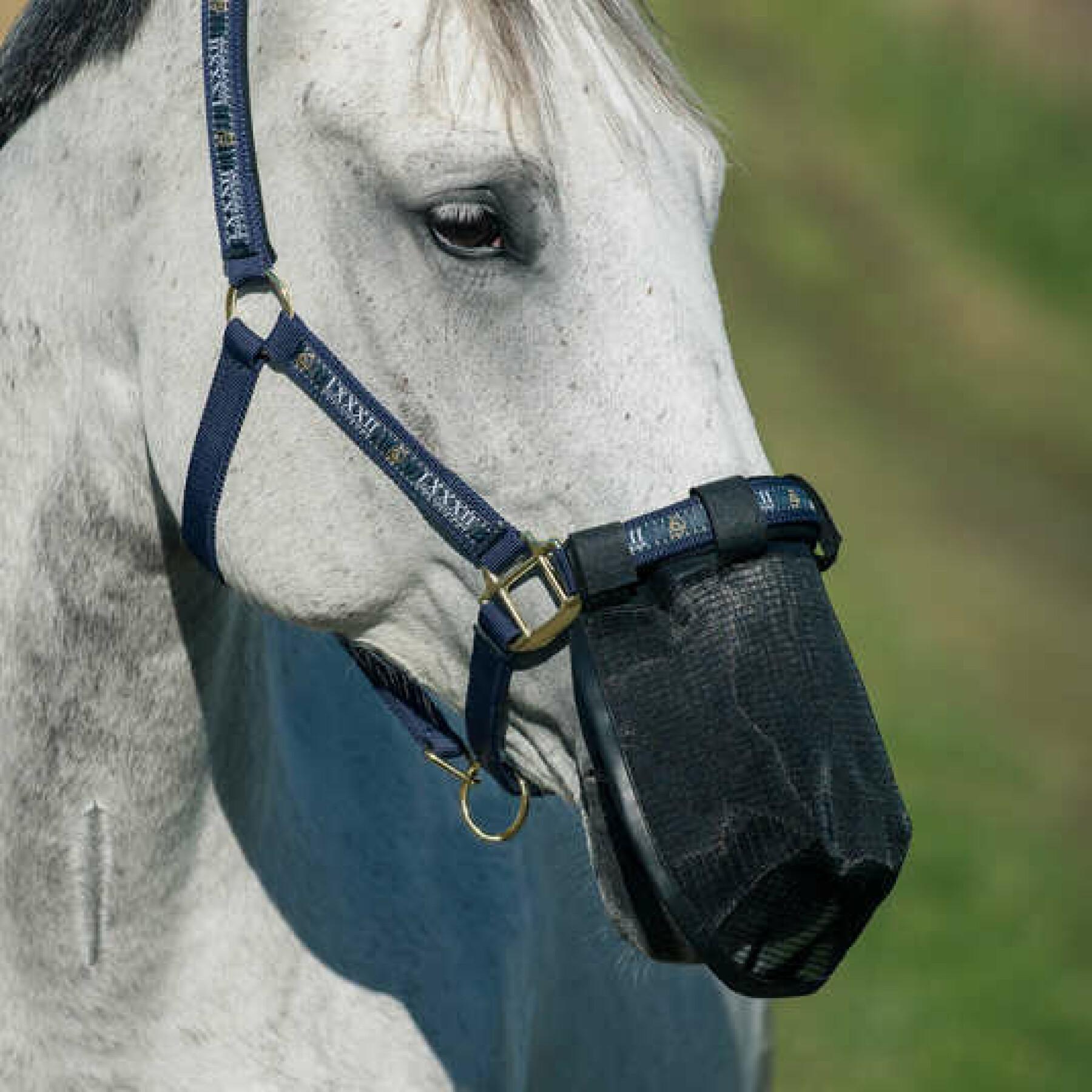 Máscara antipolvo para caballos Horze
