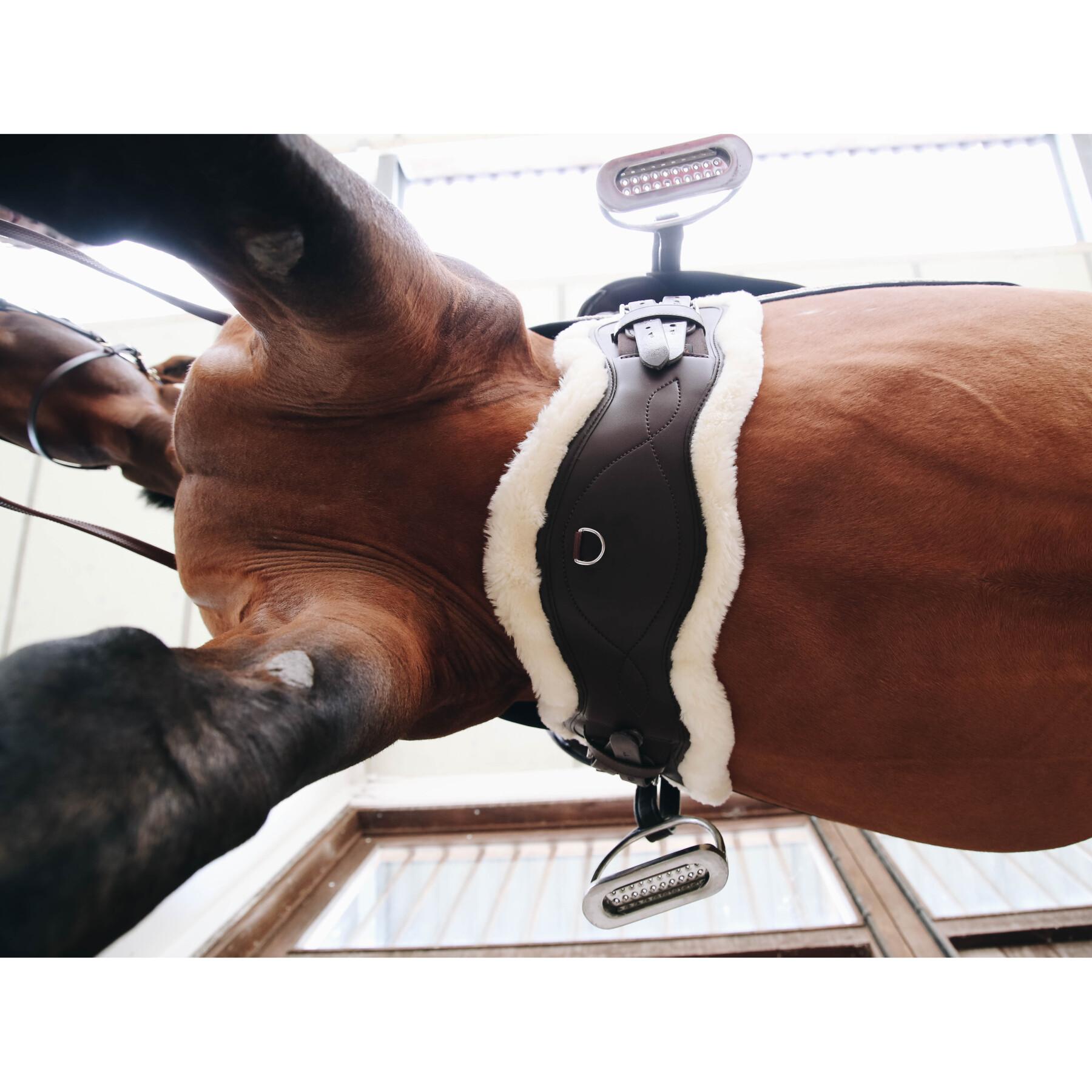 Cincha anatómica corta para caballos de raza ovina Kentucky