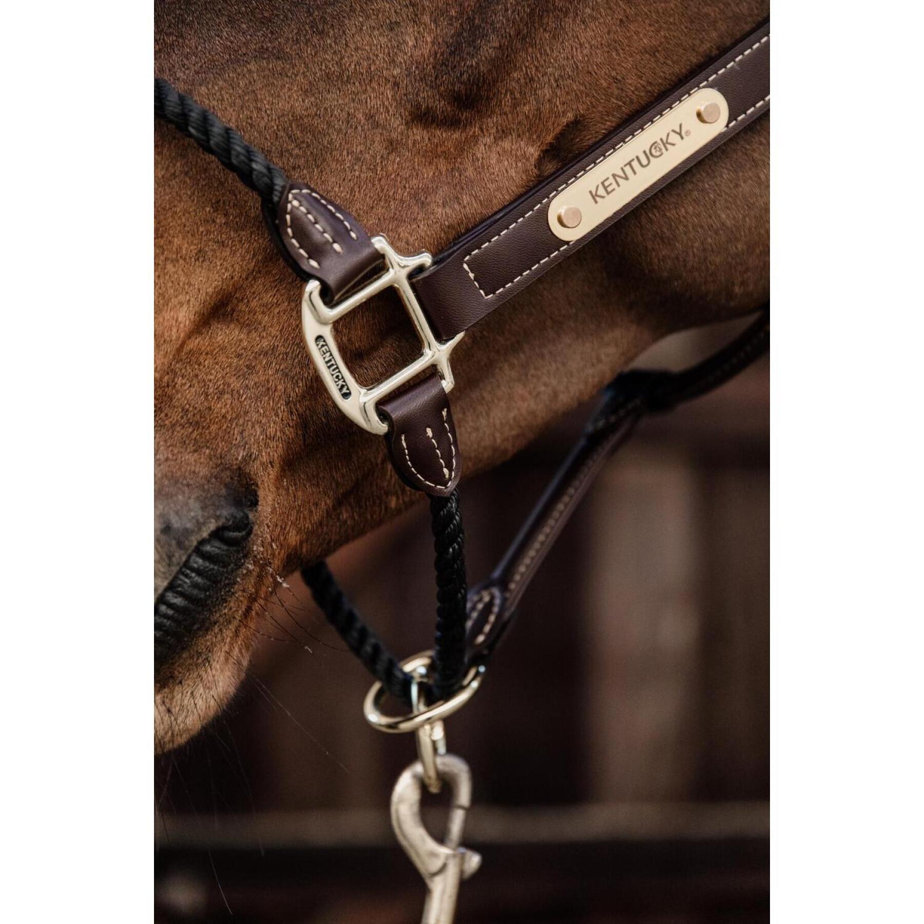 Cabezada Cuadra de cuero para caballos Kentucky Rope