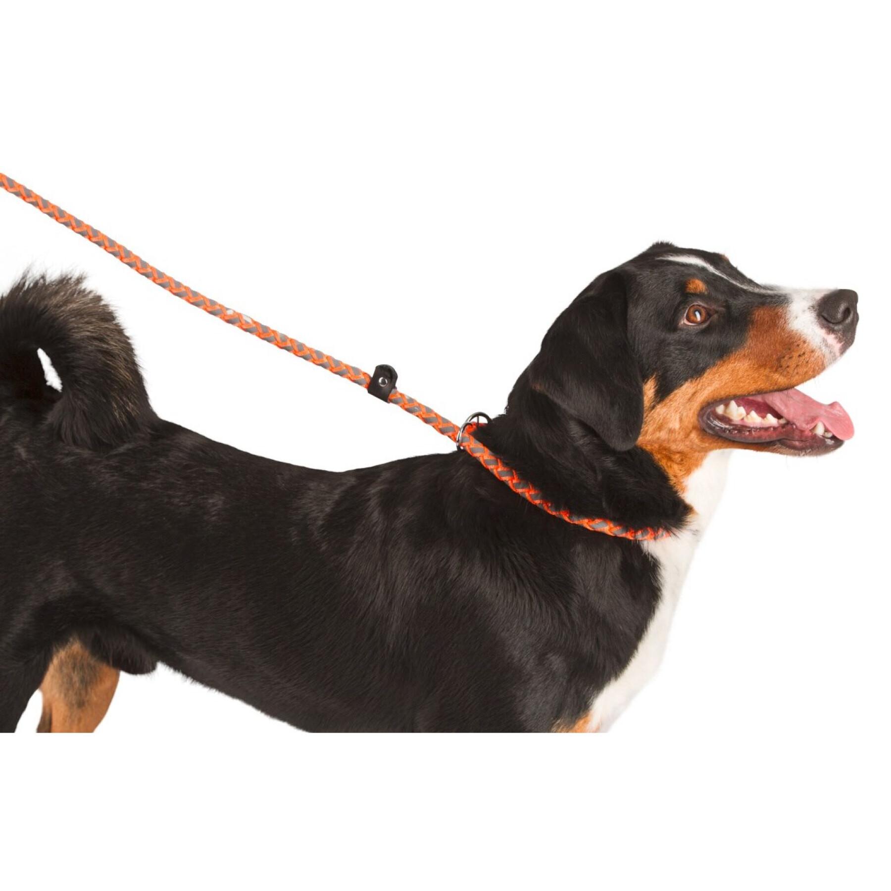 Correa para perros con collar integrado Kerbl Maxi Safe