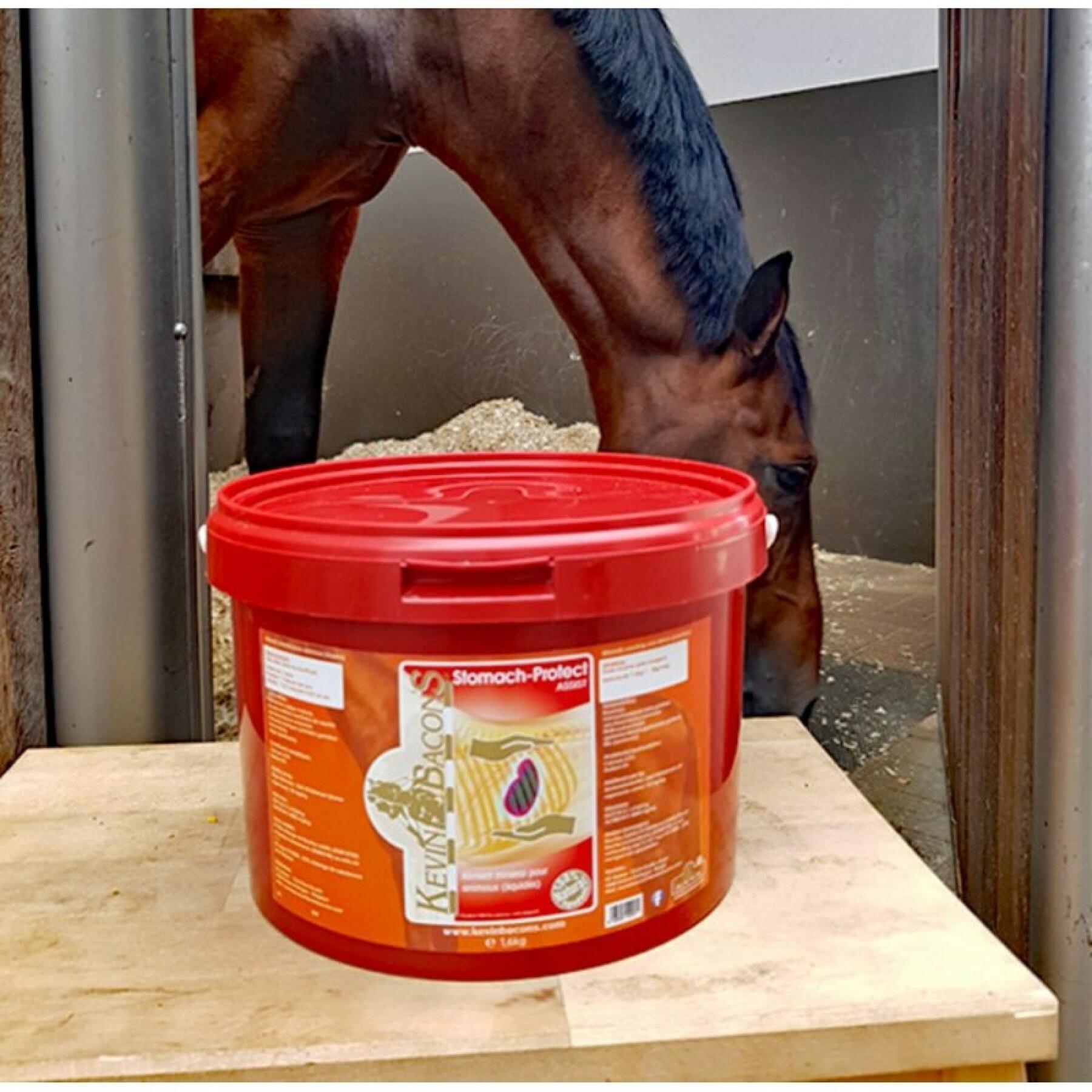 Suplemento nutricional digestivo para caballo Kevin Bacon's