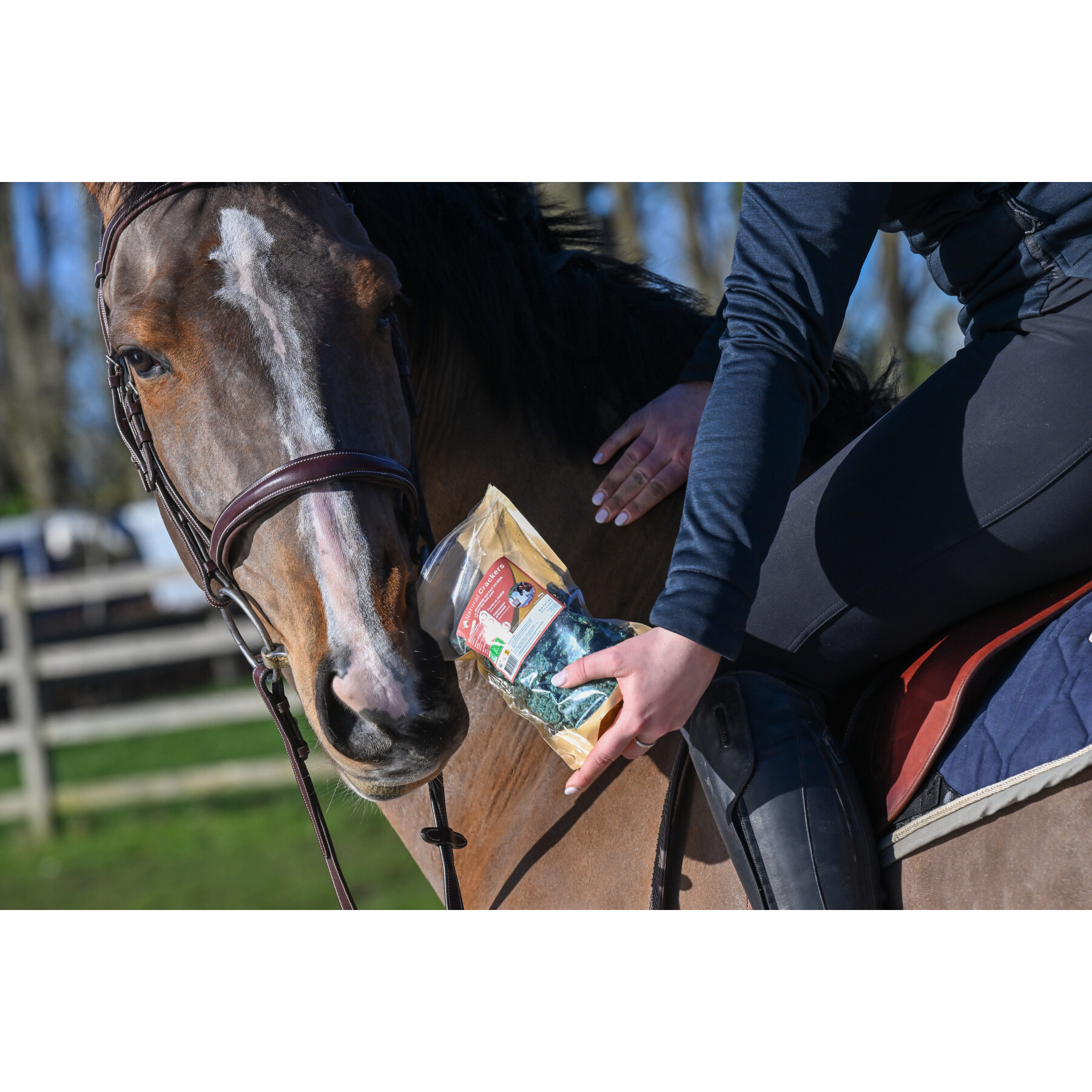Galletas de caballo con espirulina para la forma y la vitalidad Natural Innov Natural'Crackers Top - 300 g