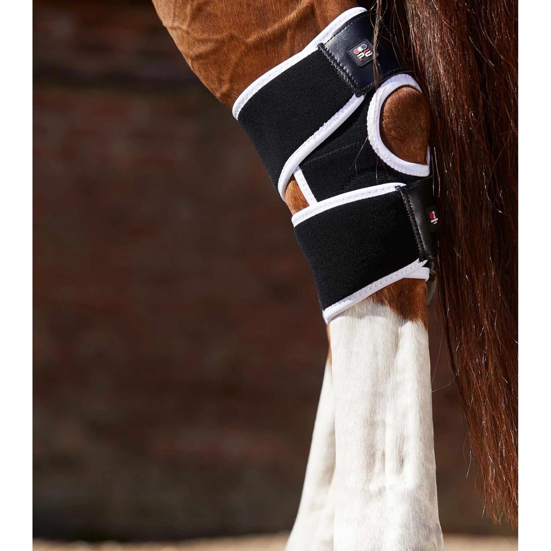 Rodilleras magnéticas para caballos Premier Equine Magni-Teque