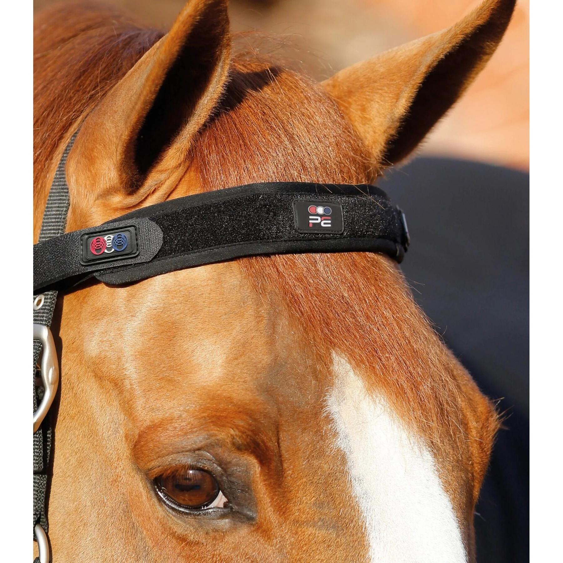Cinta magnética para la cabeza de caballo Premier Equine Magni-Teque