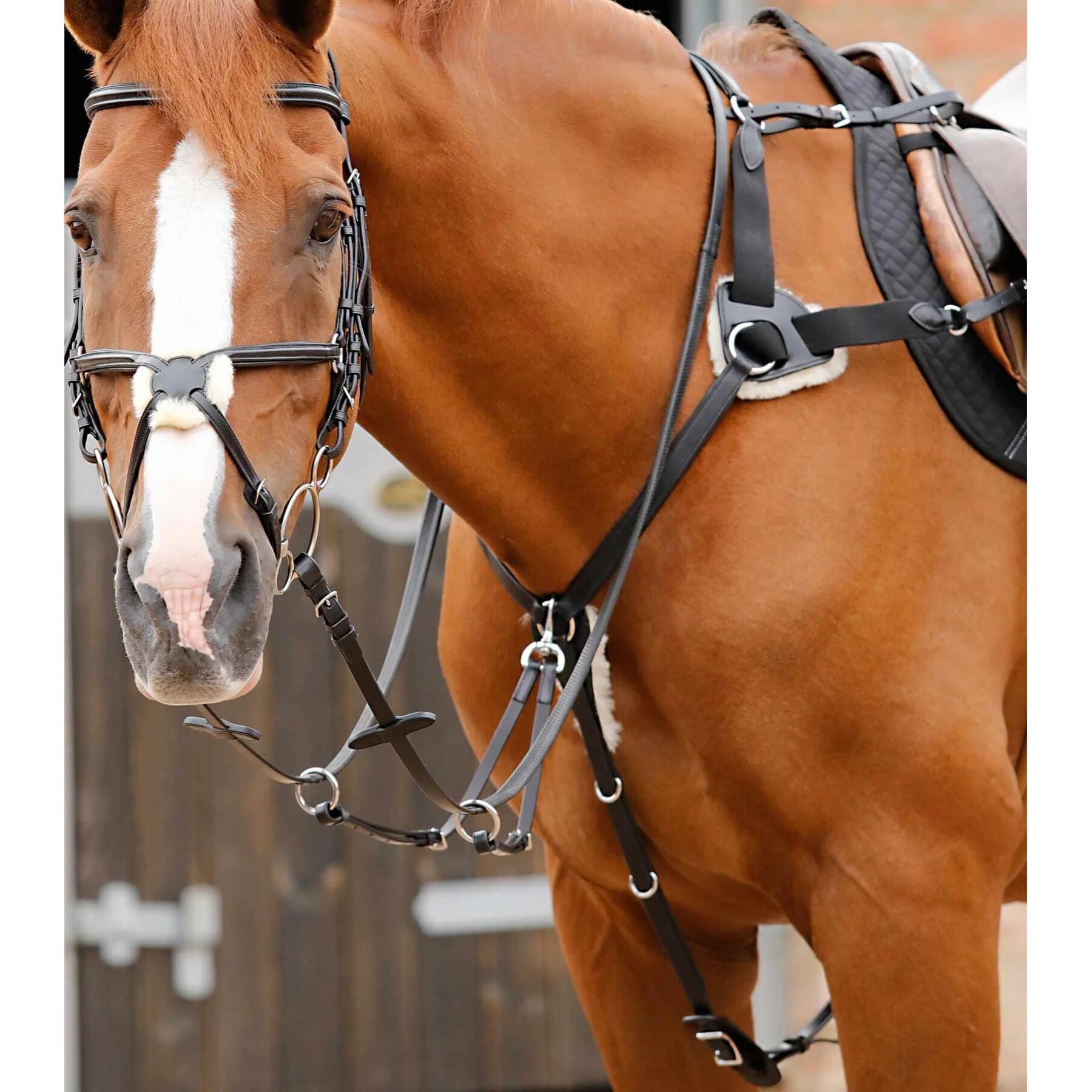 Collar de caza para caballos de 5 puntas Premier Equine Invorio