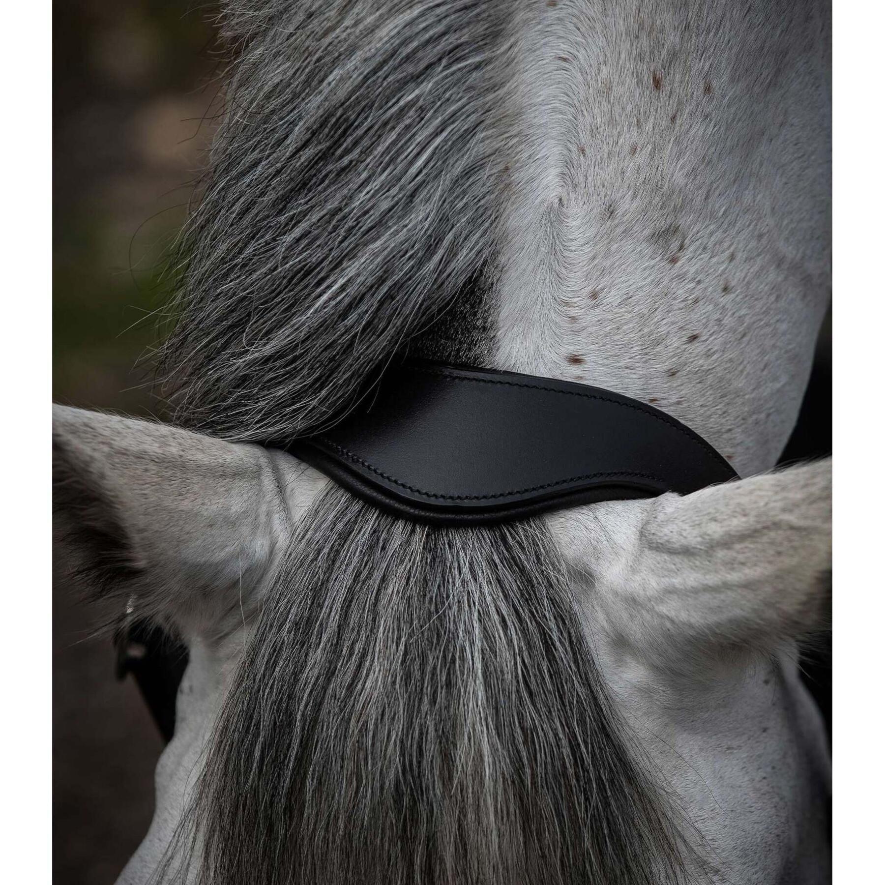 Cabezada Cuadra anatómico de cuero enrollado para caballos Premier Equine Hennaroso