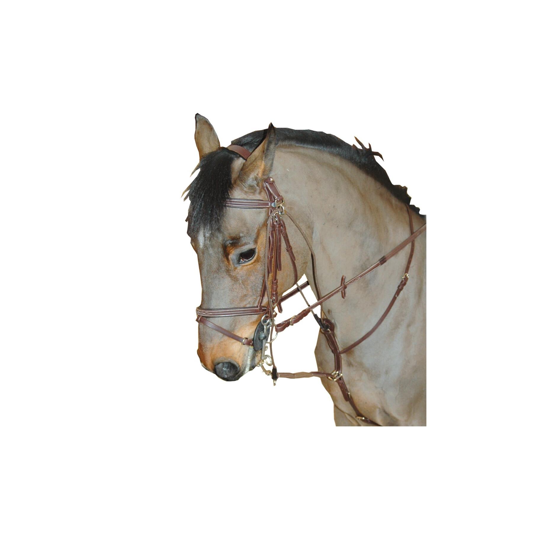 Bicho caballo inteligente Privilège Equitation