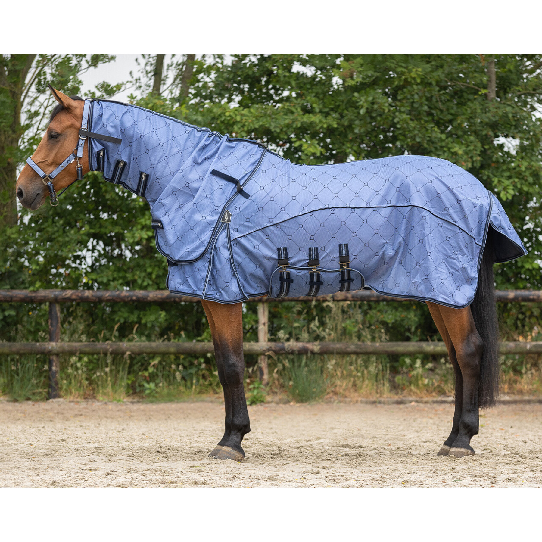 Manta antimoscas para caballos con cubrecuellos QHP Collection