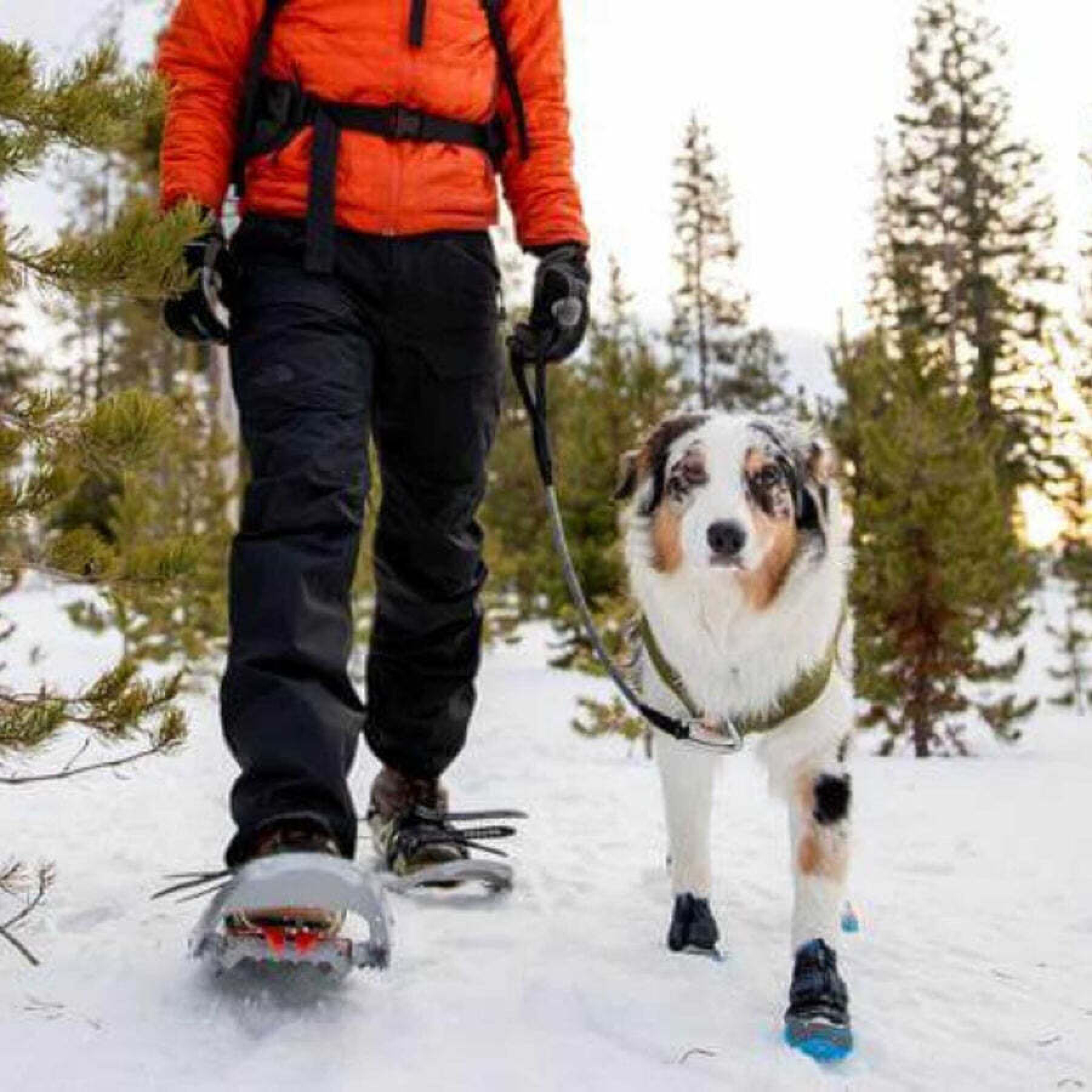 Zapatos de invierno para perros Ruffwear Polar Trex