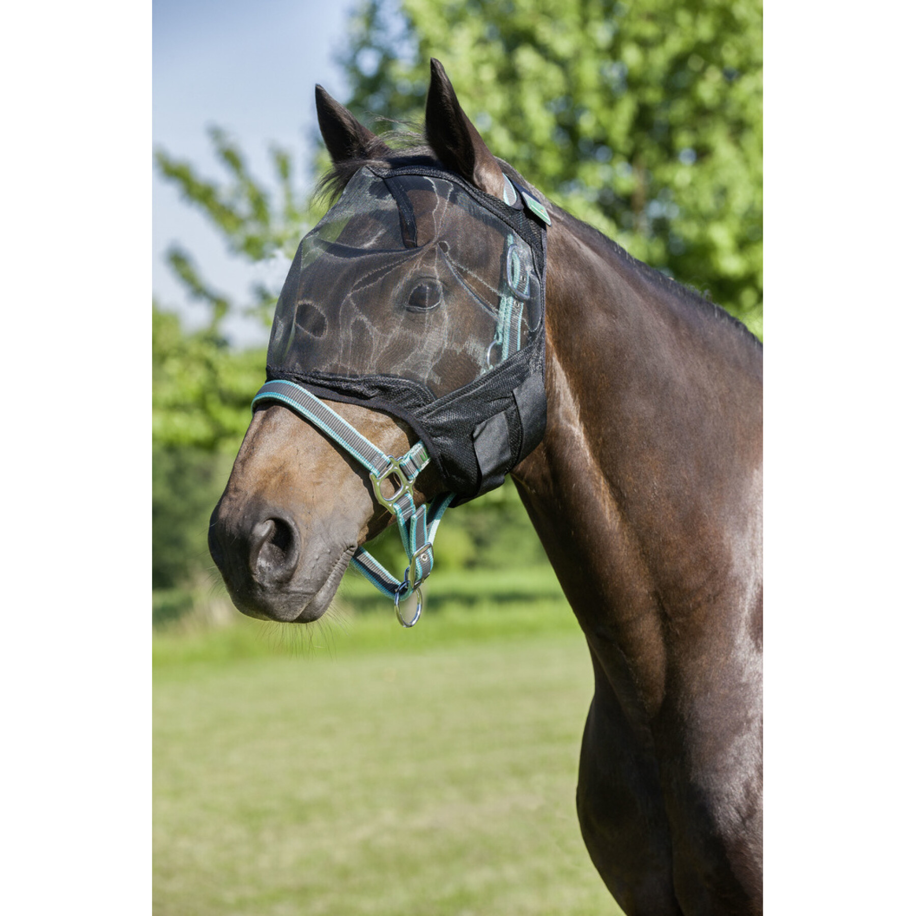 Máscara antimoscas sin protección auditiva para caballos USG