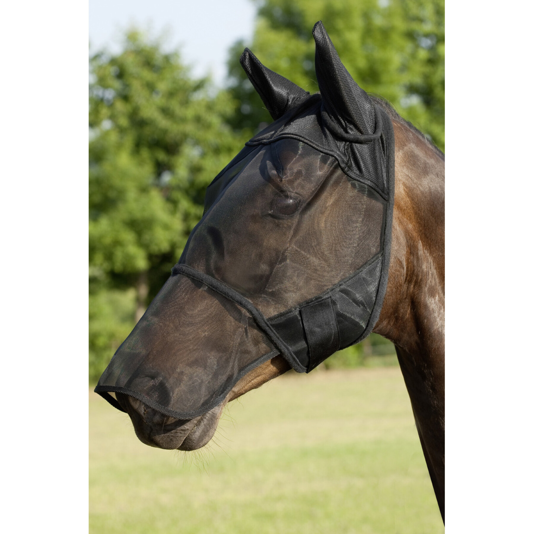 Máscara antimoscas para caballos con orejeras y protector nasal USG