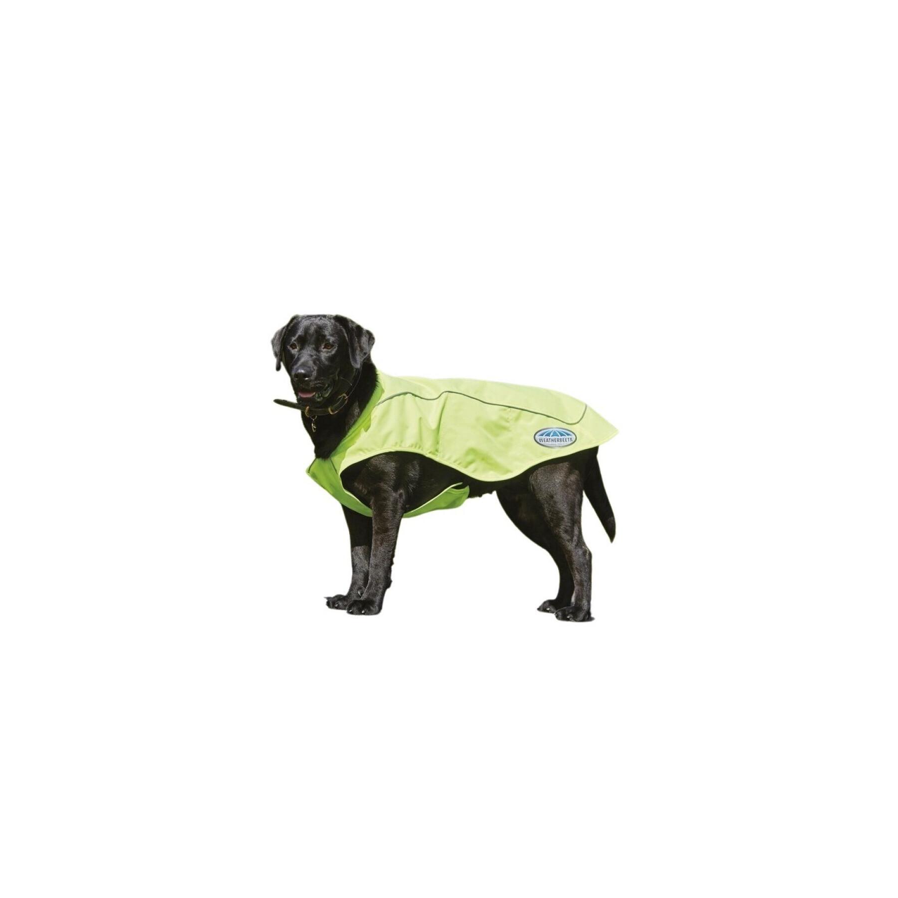 Tren Cartas credenciales Aditivo Manta para perros Weatherbeeta Vision - Mantas - Ropa - Perro