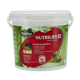 Suplemento alimenticio vitaminado para caballos Ravene Nutrilife