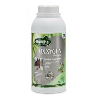 Suplemento alimenticio de las vías respiratorias para caballos oxxygen Ravene