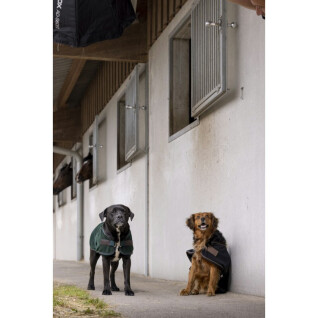 Manta de nylon para perros Diego & Louna Teddy