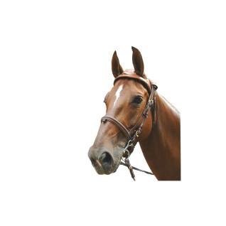 Bridas de equitación Eric Le Tixerant Headset