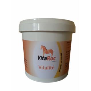 Vitaminas y minerales para caballos VitaRoc by Arbalou Vitalité