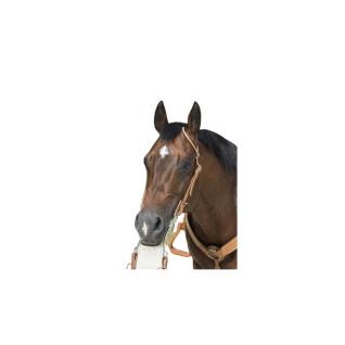 Bridas para caballos Westride Franck Perret 1 oreille