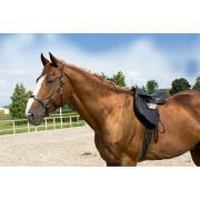Cabezada para caballo para pony de cuero de aseo ERIC THOMAS “Pro”