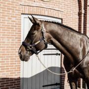Cordón de equitación para caballos de espectáculo Kentucky