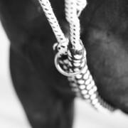 Rienda del caballo Canter Soft Rope