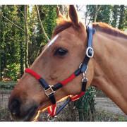 Cabezada y cuerda de cuero para caballos Cavaletti Tara