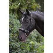Artículos de cuero para caballos Covalliero Exclusif