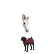 Manta de lana para perros Diego & Louna Teddy