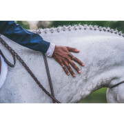 Riendas de caballo de cuero trenzado Dy’on 5/8"