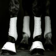 Botas de caballo Equilibrium S&F Simples