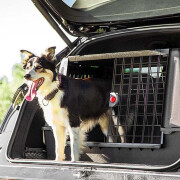 Bolsa de transporte para perros Ferplast Atlas Scenic
