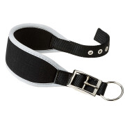 Collar para perro Ferplast Ergocomfort CW20/39