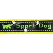 Collar para perro Ferplast Sport Dog C20/43