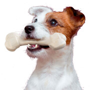 Juguete masticable para perros con sabor a pollo Ferplast