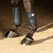 Protector de rodilla para caballos Harry's Horse Beenbeschermers Flextrainer Air mesh