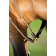 Riendas de equitación alemanas de cuero + cuerda HFI