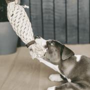 Juguete para perros de cuerda de algodón con forma de piña Kentucky