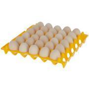 Bandejas para 30 huevos pp Kerbl