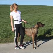 jogging correa para perros con cinturón Kerbl