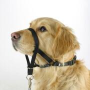 Collar de adiestramiento para perros Kerbl Maxi Coach