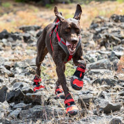 Zapatillas de trail para perros Kurgo Blaze (x2)