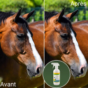 Spray antiinsectos para caballos Natural Innov Natural'Fly