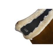 Cincha para caballos con piel de oveja sintética Norton XTR